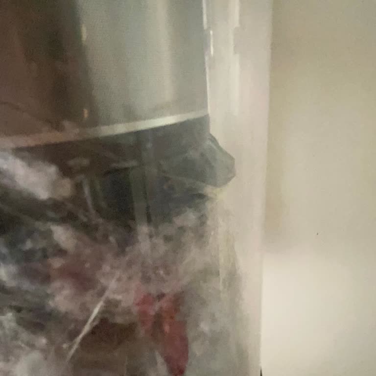 Dyson Servisten Gelen Ürünüm Zarar Görmüş