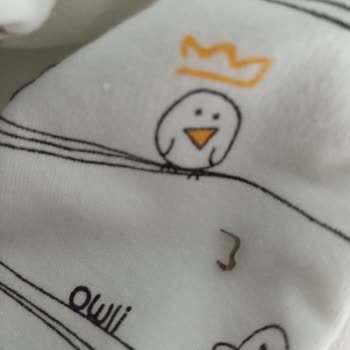 Owli Türkiye Uyku Tulumundan Çıkan Demir Parça