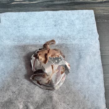 Burger King İnsan Sağlığıyla Oynuyor