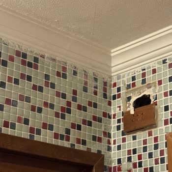 Royal Sebaste Hotel Her Şey Dahil Mağduriyeti!