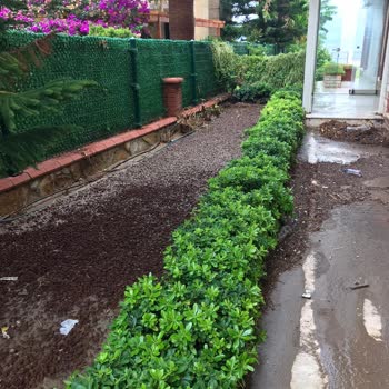 Menderes Belediyesi Özdere Çukuraltı Mevkisinde Toprak Kayması Sahipsiz Kamu Alanı