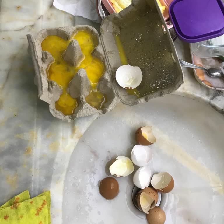 BİM Gordo Organik Yumurta Hepsi Bozuk