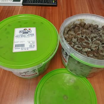 Kavlak Zeytin Kavlak Kızıl Zeytin Ambalajında Küflendi