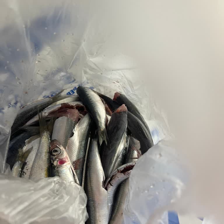 Hünkar Balık Market Yanlış Ürün Ve Kötü Müşteri Hizmeti Deneyimi