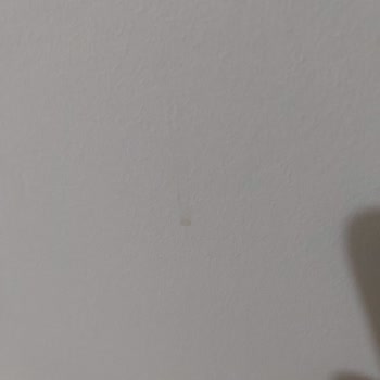 Filli Boya Momento Max Boya Silinmiyor