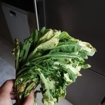 Migros Sivas Sanal Market Çürük Sebze Ve Meyve Gönderiyor