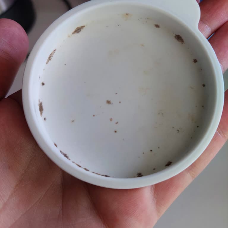 Lav Kapak Küf Sorunu