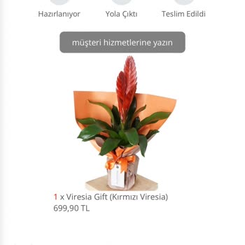 Heryerbitki Ürün Geç Gitti Ve Aynı Ürün Değil