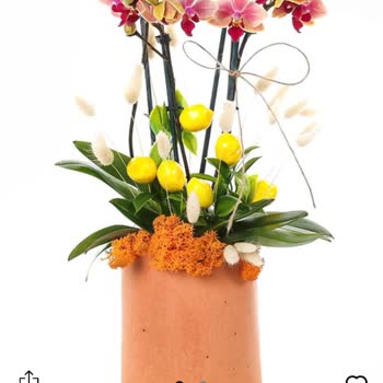 Tazecicek.com Görselle İlgisi Olmayan Solmuş Dağılmış Çiçek Gönderiyor