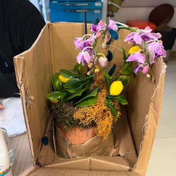 Tazecicek.com Görselle İlgisi Olmayan Solmuş Dağılmış Çiçek Gönderiyor