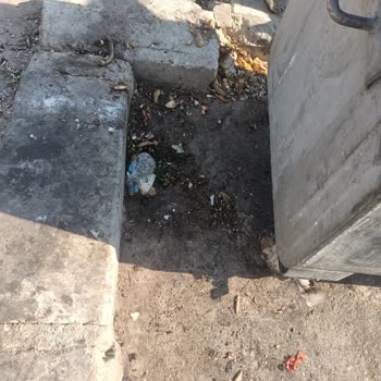 İzmir Büyükşehir Belediyesi Kötü Koku Sinekler İlaçlanma Yerlerde Çöpler