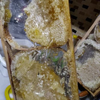 Aras Kargo Ve Ankara Kazan Dağkaya Şubesi Sorumsuzluğu