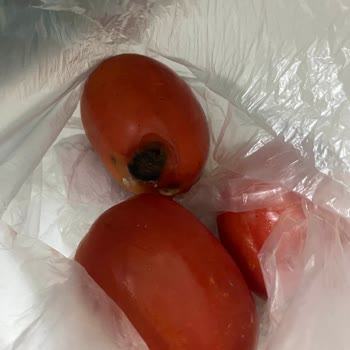 Carrefour Online Siparişim Kabusa Dönüştü