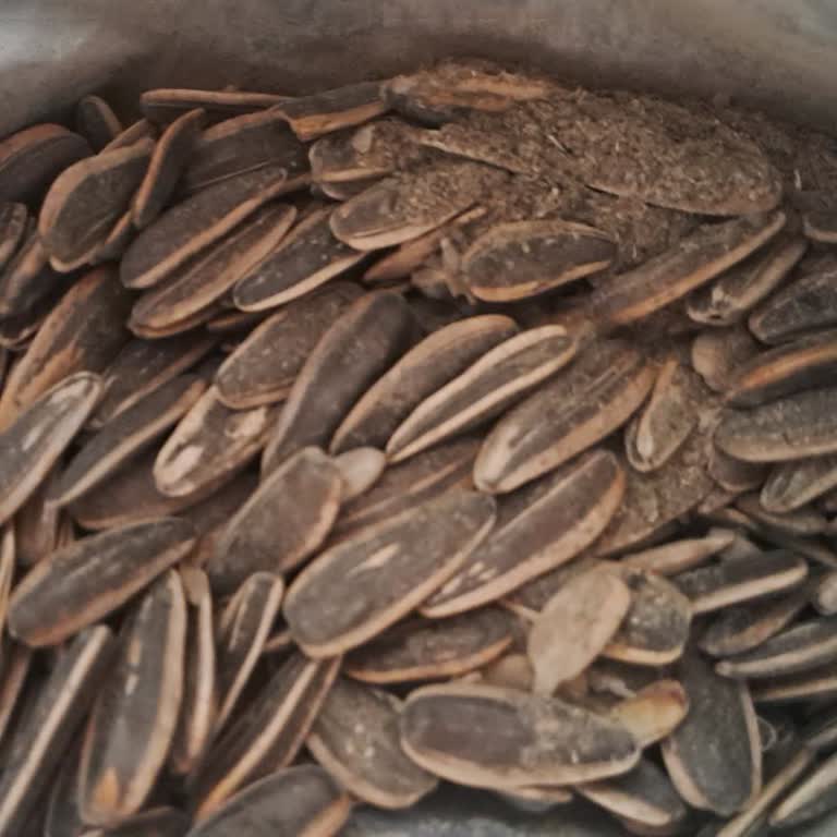 Tadım Çekirdek Resmen Cop Doldurmuş