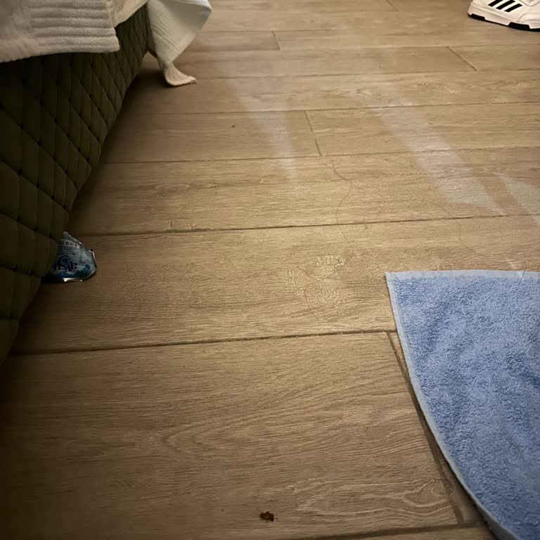 Tatilbudur Grand Cortez Resort Hotel'de Hijyen Problemleri Ve Müşteri Hizmetleri Sorunu!