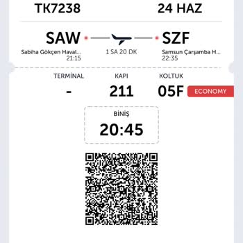 Turkish Airlines Vuelo Retrasado y Doble Estándar