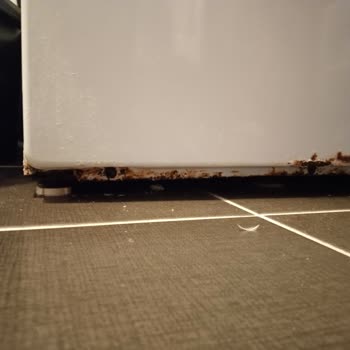 Samsung Çamaşır Makinesi Paslanma Problemi