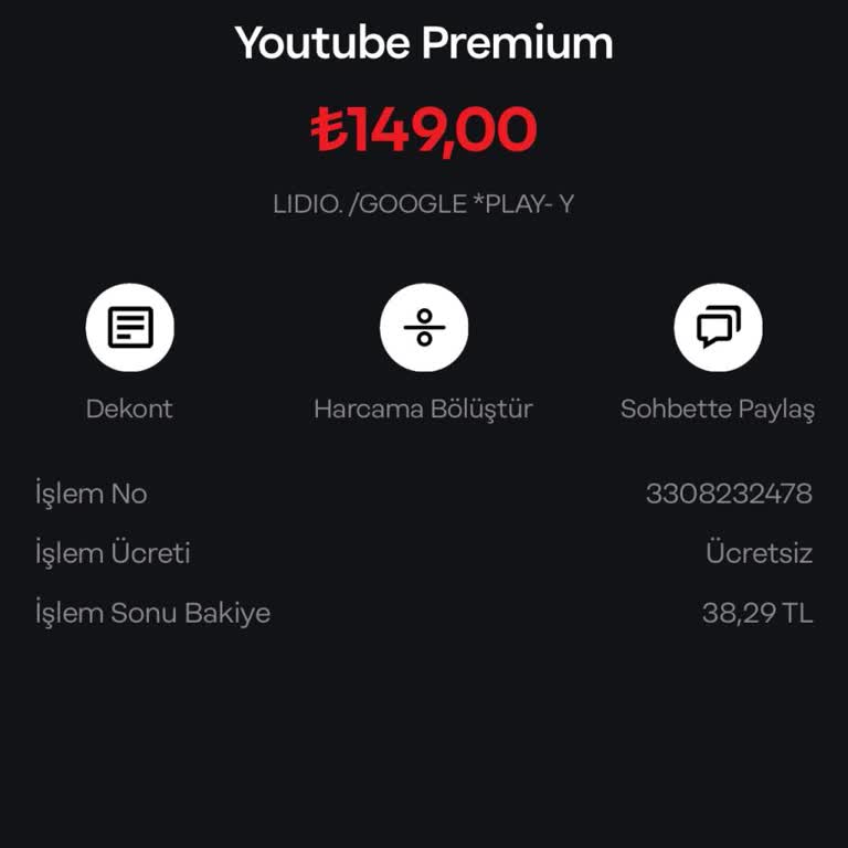 Lidio Ödeme Hizmetleri İzinsiz Para Çekilmesi