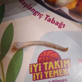 Tavuk Dünyası Hizmet Eksikliği Giderilmesi
