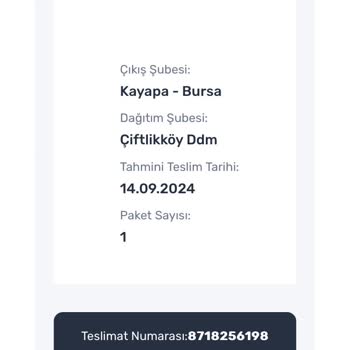 Sürat Kargo Çiftlikköy Şubesinden Teslim Edilmeyen Kargo