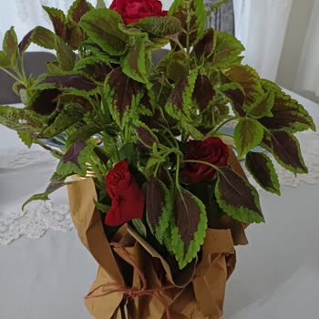 Çiçek Sepeti Şikayet