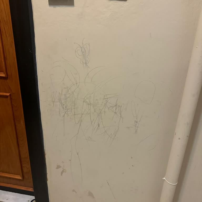 Akal Yönetim Apartman Yönetimi İle Yaşanan Sorunlar Ve İlgisizlik