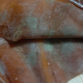 Makbul Küflenmiş Tarih Geçmiş Gıda