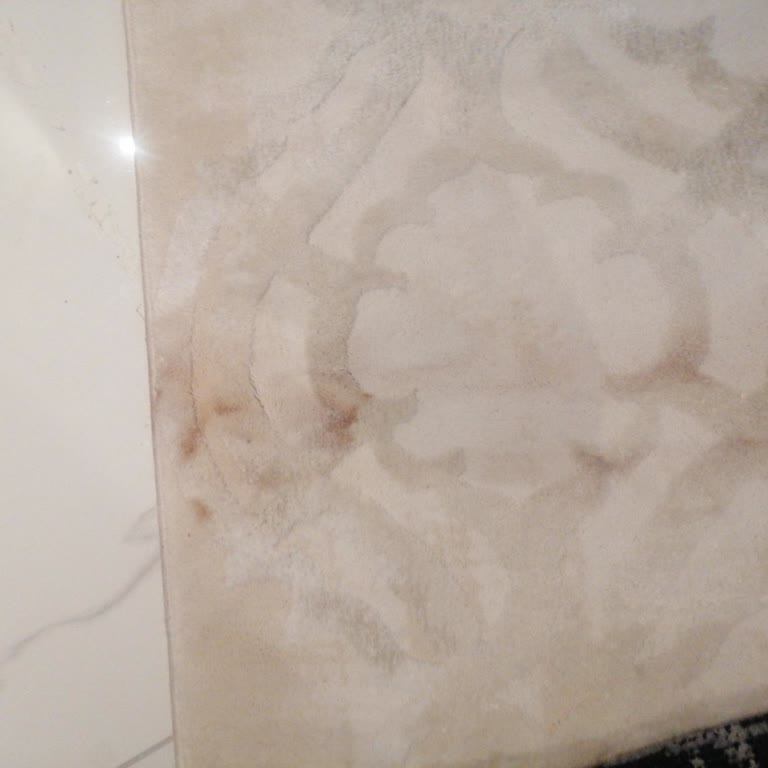 Efendiler Halı Yıkama Gaziemir İzmir Firmasından Şikayetçiyim