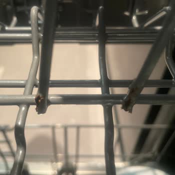 Arçelik Bulaşık Makinesi Paslanma Sorunu ve Müşteri Sağlığı Tehlikesi