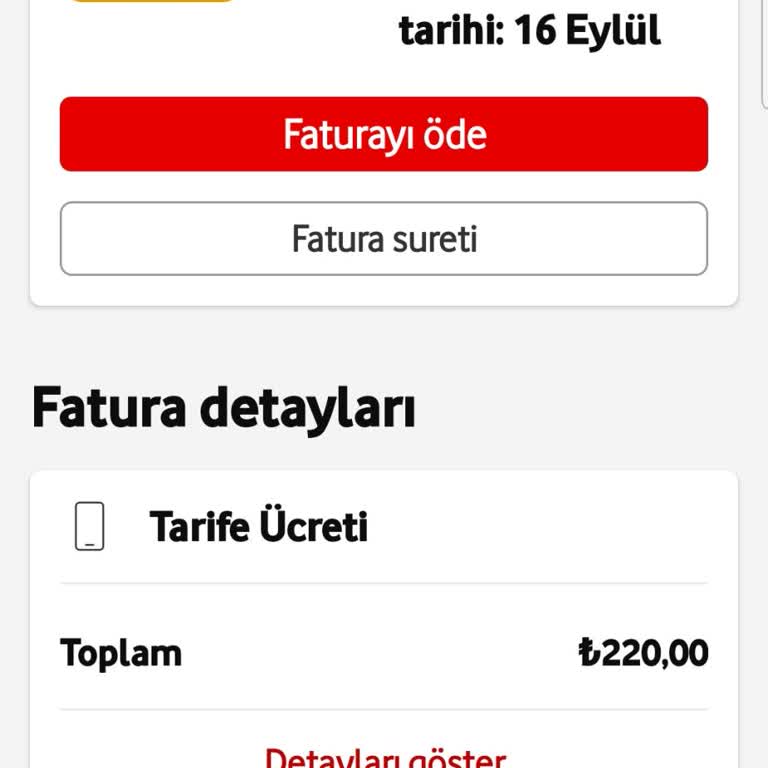 Yurt Dışı Paket Yenileme Sorunu ve Fahiş Fatura