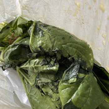 File Market Online Alışverişte Taşıma Sorunu