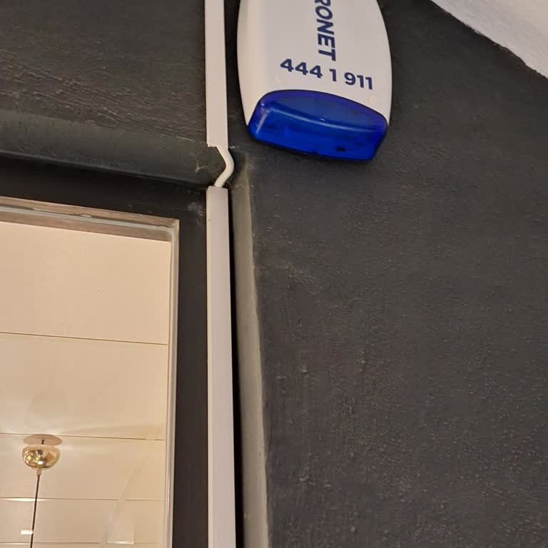 Pronet Son Pişmanlık Bu