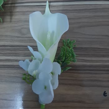 Atölye Flora Gelin Çiçeği Hayal Kırıklığı