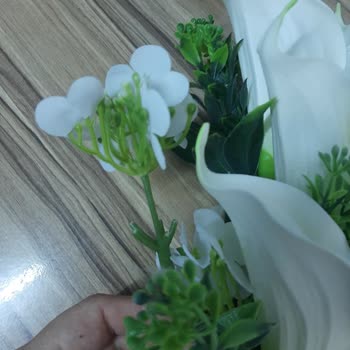 Atölye Flora Gelin Çiçeği Hayal Kırıklığı