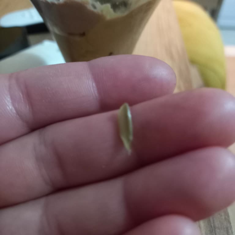 Algida Dondurmanın İçinden Plastik Çıktı