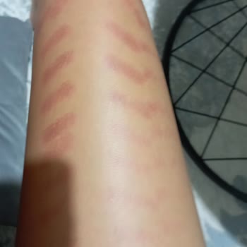 Lavinia Plus Güzellik Salonu (Van) Lavinia Plus Güzellik Salonu