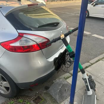 Martı Çarpması Sonrası Hasar