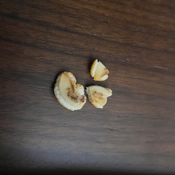 Çerezya Kurtlu Kaju Fıstık