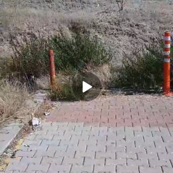 Menderes Belediyesi Direksiyon Sınavı Alanı Görece
