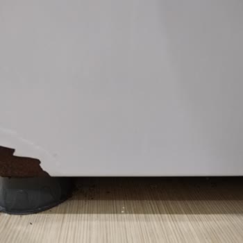 Bosch Çamaşır Makinesi Paslanması