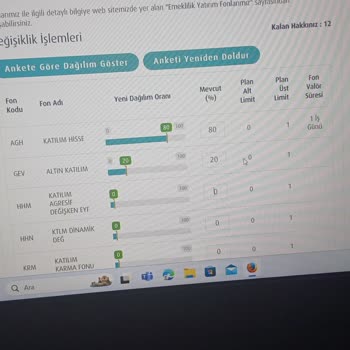 Türkiye Hayat Emeklilik Fon Değişikliği Yapmak