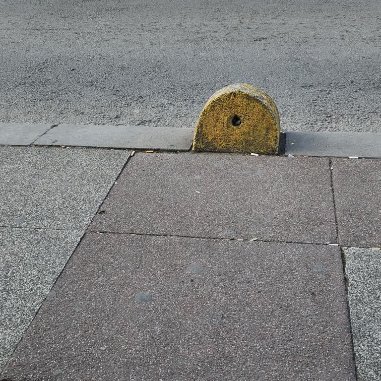 İETT 88 Ve 38 Vaktinde Gelmiyor 55 Dakika Geç Geliyor