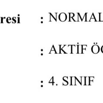 E-Devlet (Turkiye.gov.tr) Transkriptin Güncel Olmaması