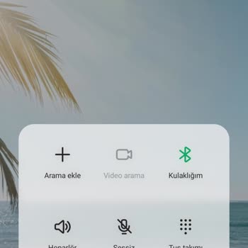 Vivense - Kargonun Nerede Olduğu Bilinmiyor!