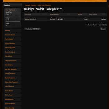 Yeşilyurtgame.com'da Para Çekim Sorunu Ve Destek Eksikliği