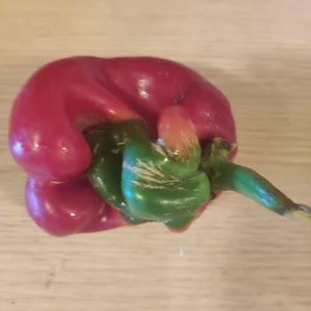 Carrefour'da Balık Bitmiş...