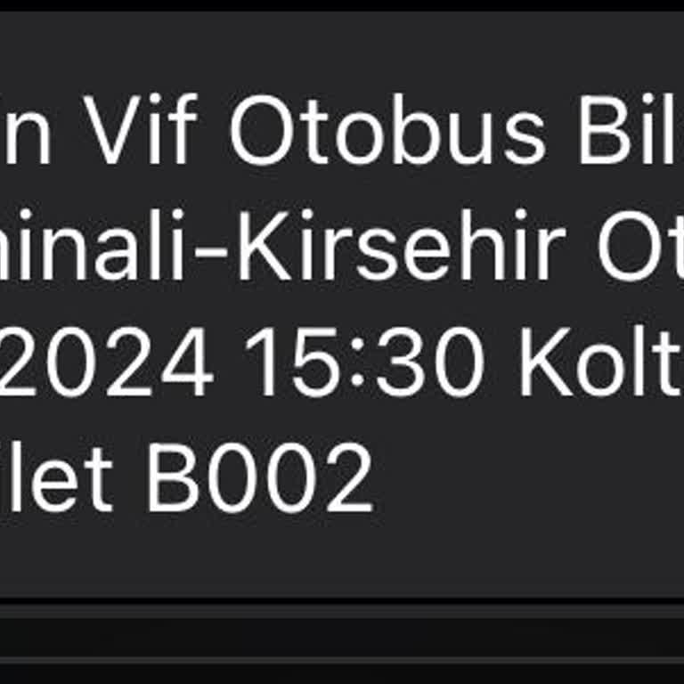 Özlem Mardin Vif Otobüs Yolculuğunda Hayal Kırıklığı Ve Kötü Hizmet