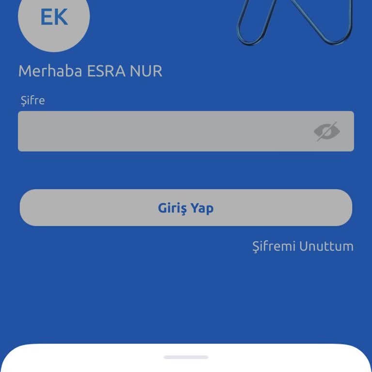 N Kolay Paramıza El Koydu Uygulama Kısıtlandı