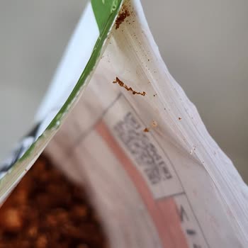 Fropie Granola Paketinde Örümcek Ağı Şoku