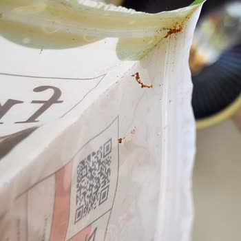 Fropie Granola Paketinde Örümcek Ağı Şoku